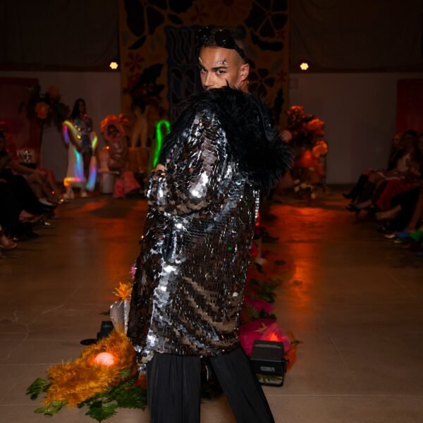 Chromatiicat-56 Chromatiicat-56