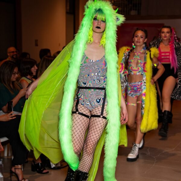 Chromatiicat-61 Chromatiicat-61