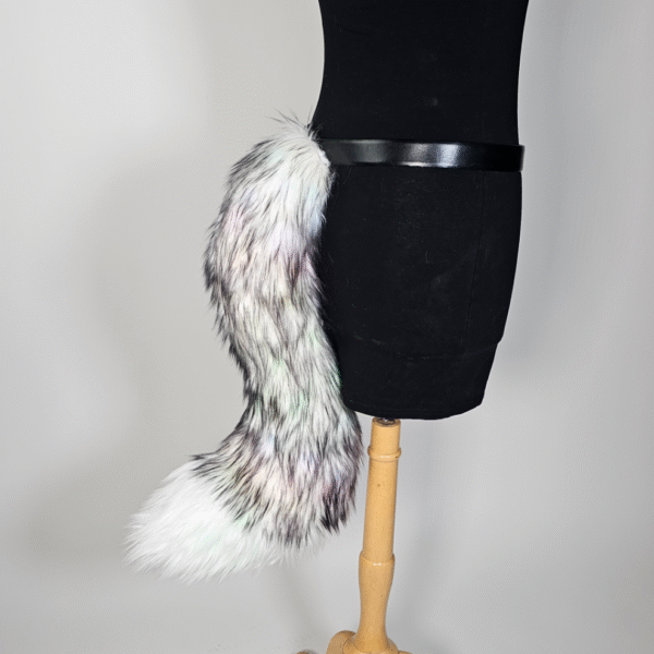 Large-Tail-Black-White Large-Tail-Black-White