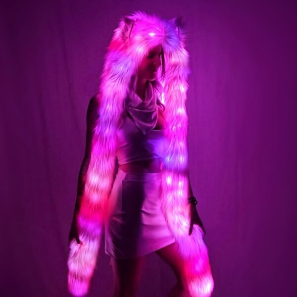 Custom LED Festival Hood